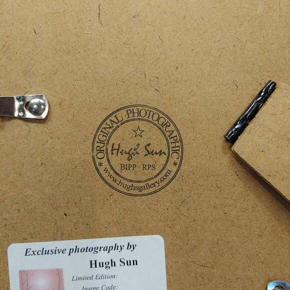 London Eye LE9 Signed Hugh Sun, the Photographer - Picture 6 of 8